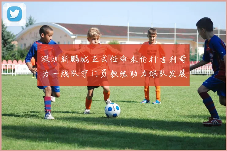 深圳新鹏城正式任命米伦科吉利奇为一线队守门员教练助力球队发展